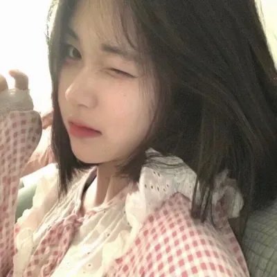 大鸟和小鸟